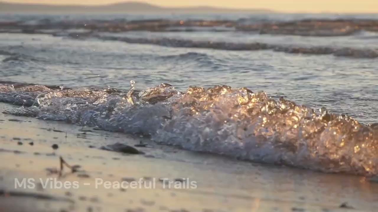 MS Vibes - Peaceful Trails