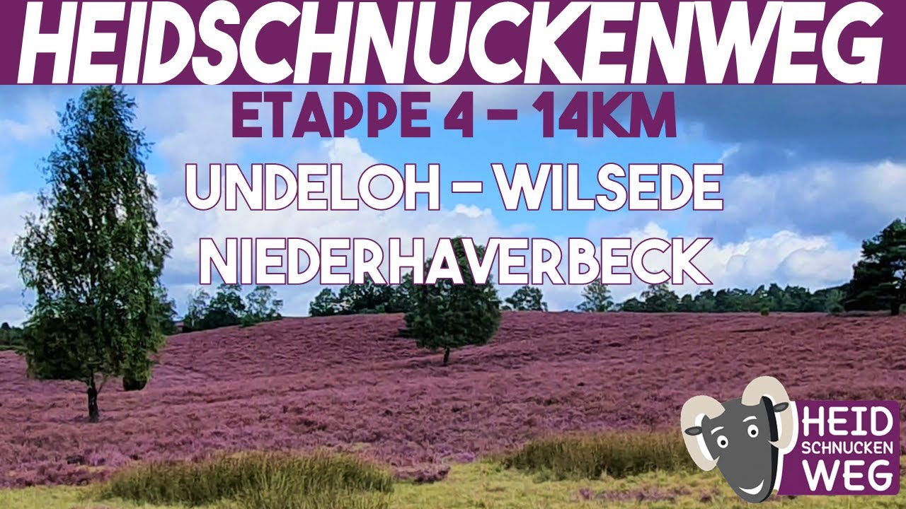 Heidschnuckenweg Etappe 4 - Undeloh - Wilsede - Niederhaverbeck