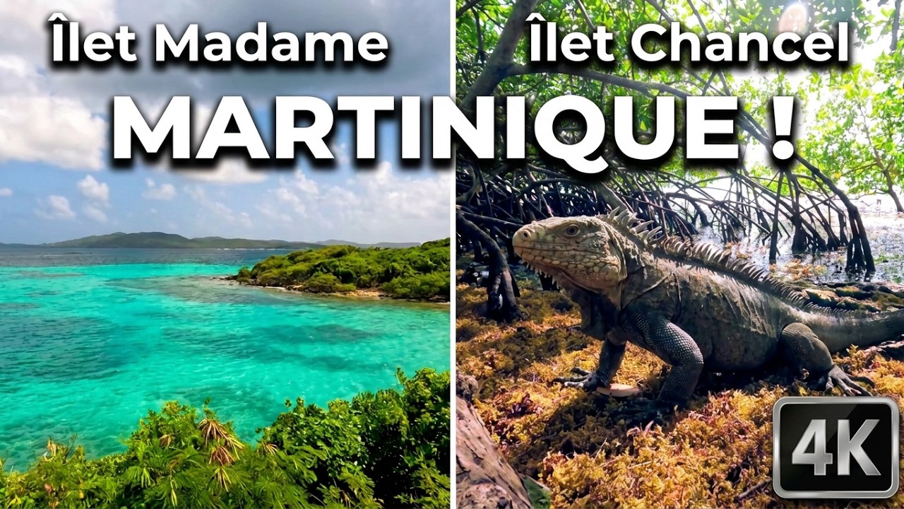 Excursion vers les îlets Madame et Chancel - Martinique in 4K