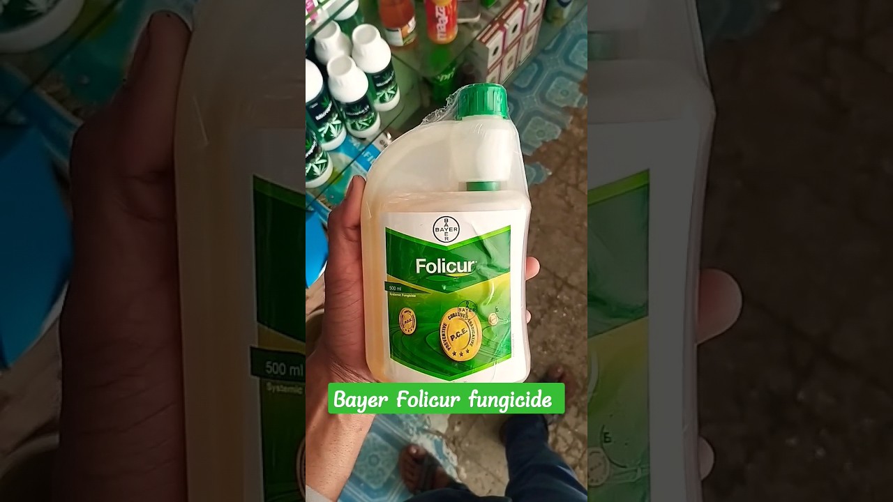 Bayer Folicur  Tebuconazole (25.9% W/W)💯🌱बायर फोलीक्योर फंगीसाइड Systemic  Fungicide #viral #shorts