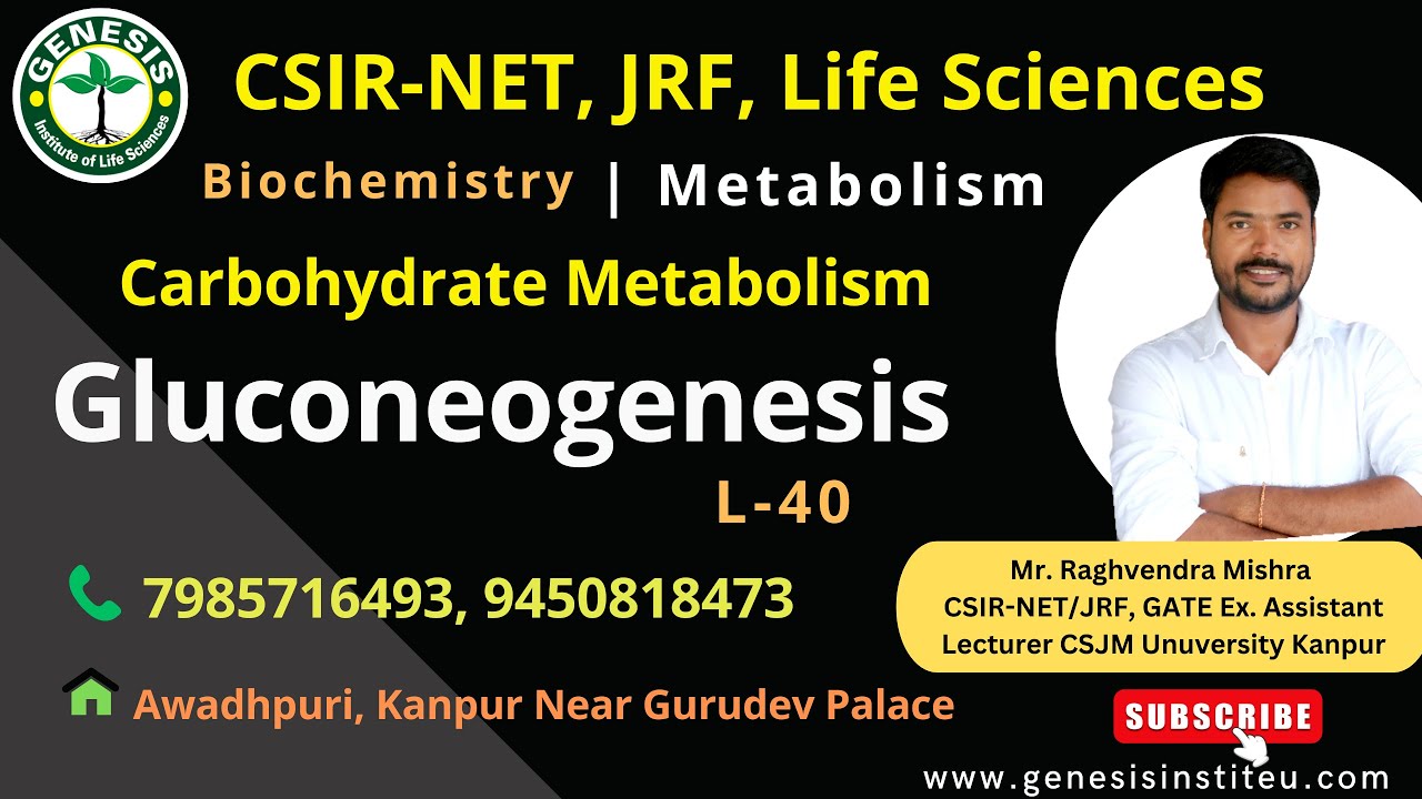 Gluconeogenesis | Carbohydrate metabolism | Biochemistry#genesis_institute