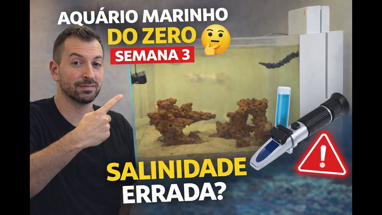 Aquário Marinho do Zero - Semana 3 | Tudo fora do ideal... e tudo bem