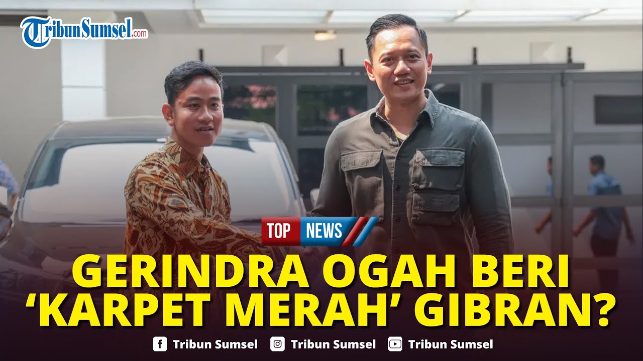 🔴Kalah Telak! Pengamat Klaim Gerindra Ogah Beri 'Karpet Merah' Gibran: Elektabilitas di Bawah AHY