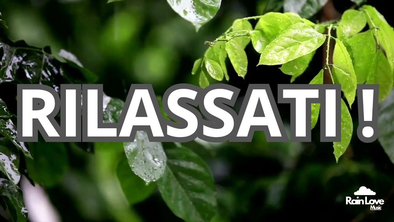 30 MINUTI DI SOLA PIOGGIA - perfetta per DORMIRE, RILASSARSI, MEDITARE, STUDIARE, CALMARSI...