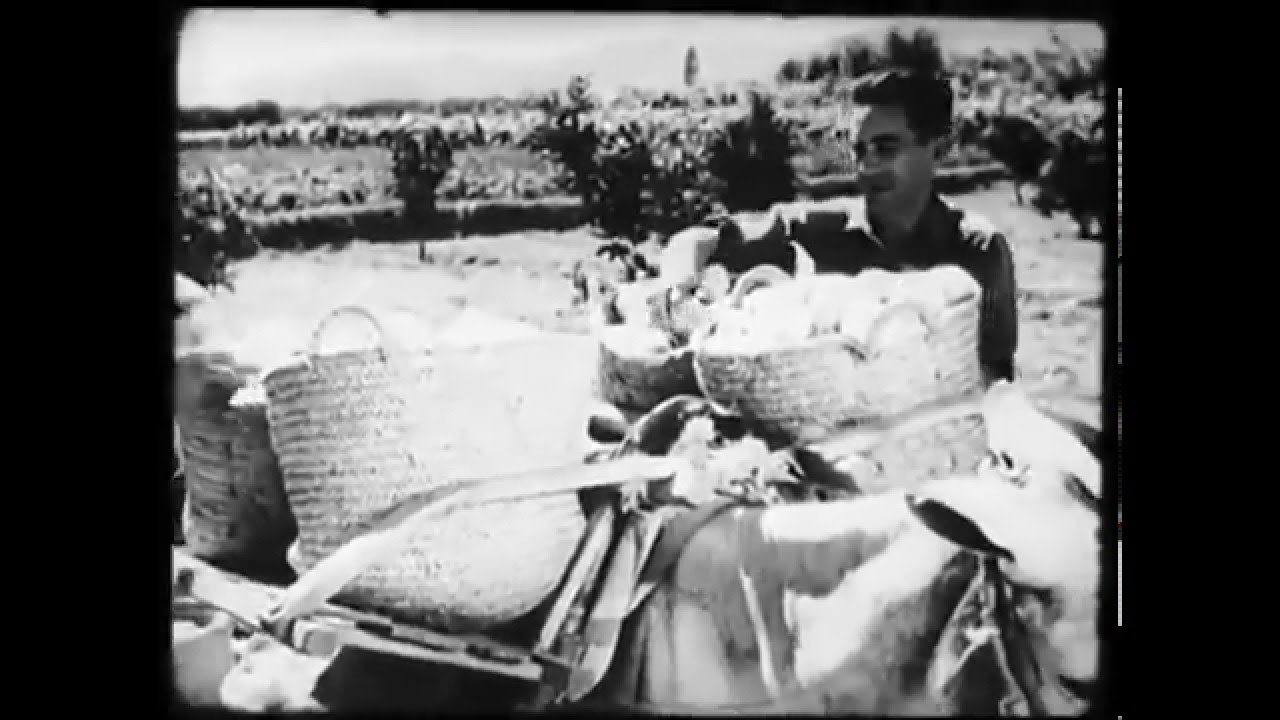 La huerta Valenciana en1933