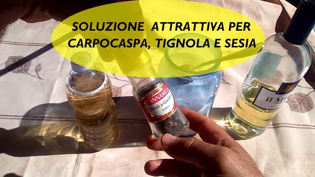 SOLUZIONE ATTRATTIVA PER CARPOCASPA TIGNOLA E SESIA