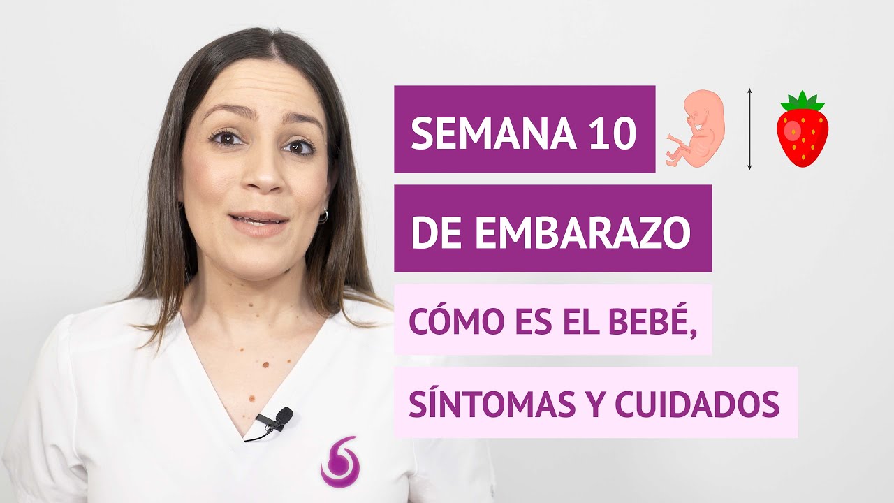 ¿Cómo es la semana 10 de embarazo? ¿Qué cambios hay en el feto y en la madre?