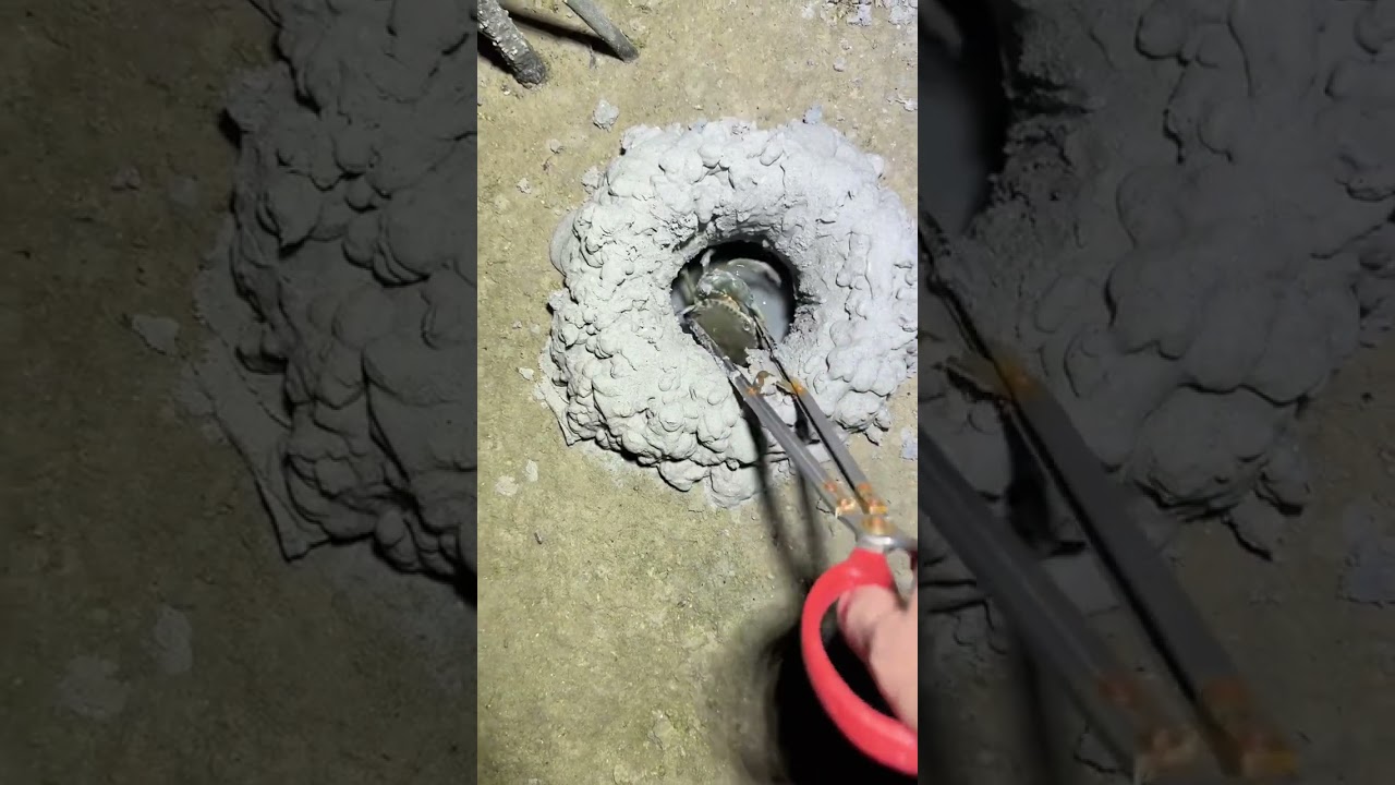 The Most Thrilling Experience Ever #survival #primitivetechnology #outdoors