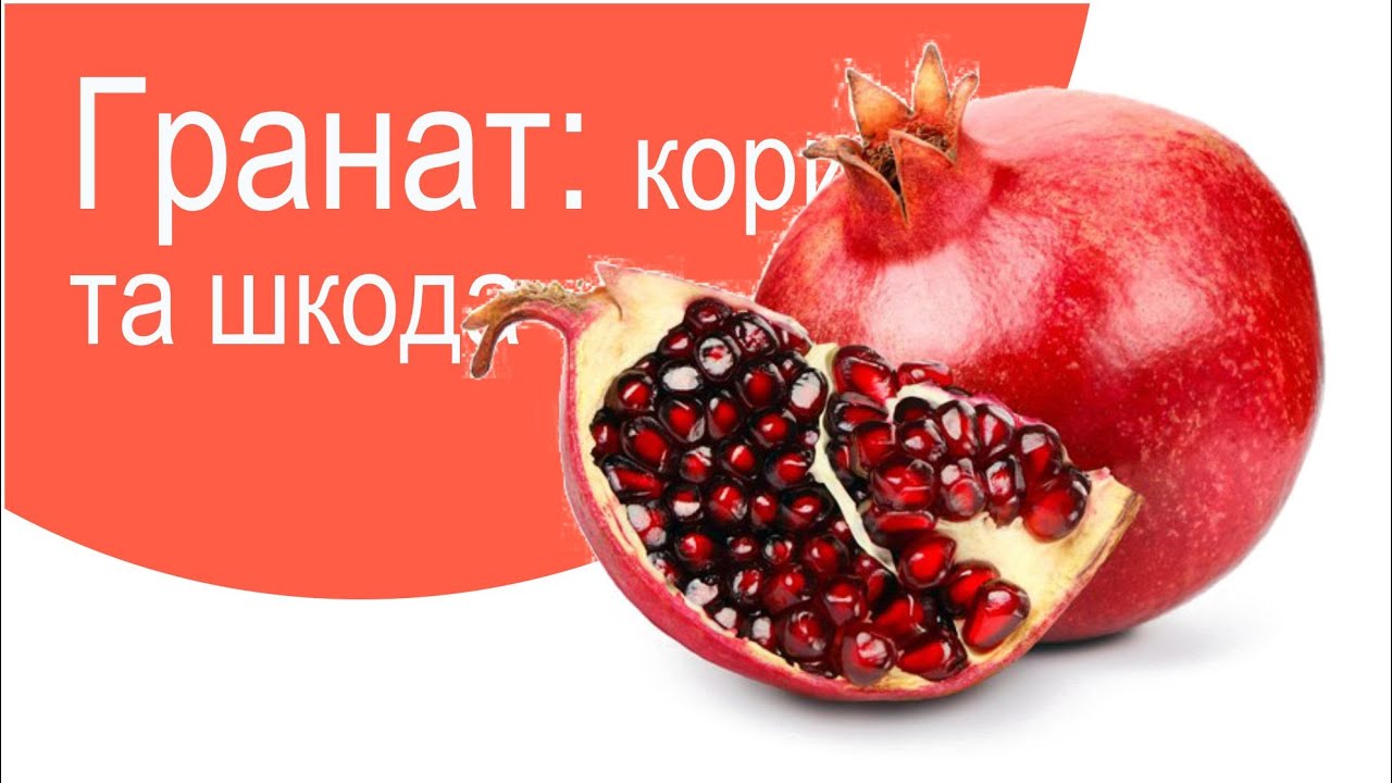 Гранат: користь та шкода