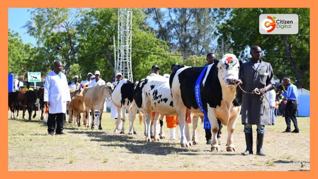 Nairobi ASK unveils 2025 Nairobi International Trade Fair