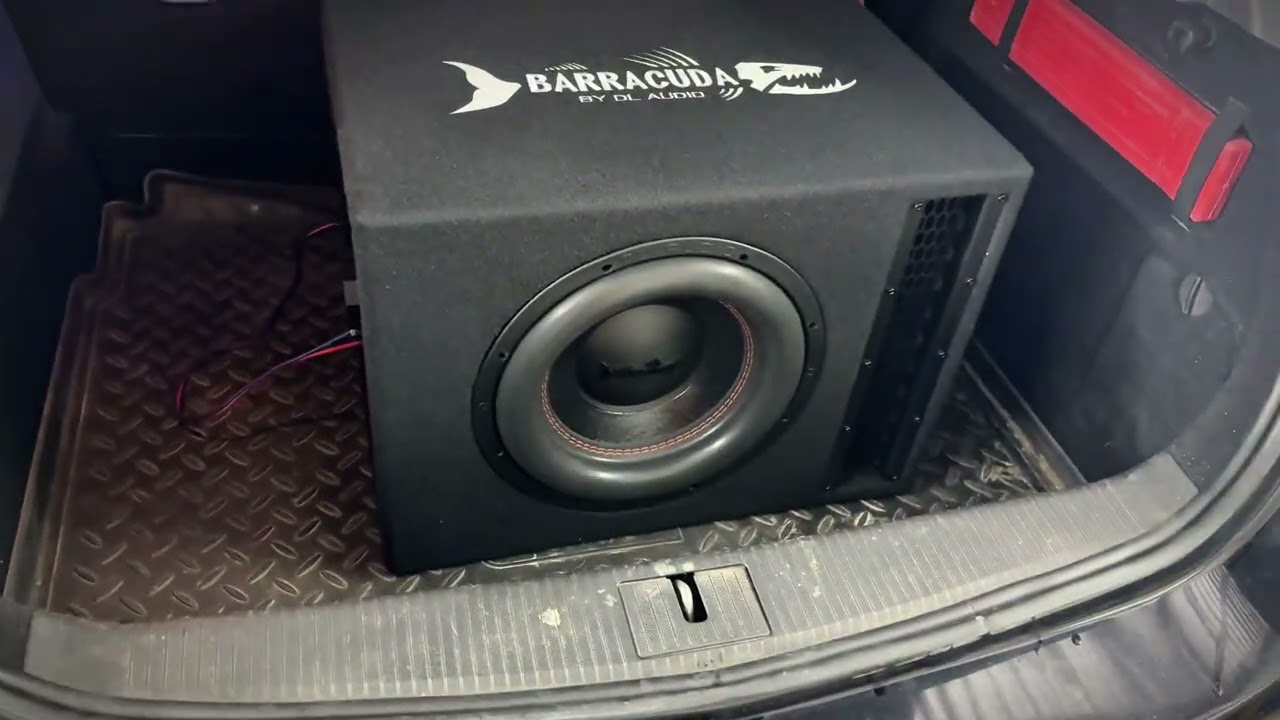 Флекс 300 ВАТ Новинка от компании Dl audio Barracuda 12 Mesh Port