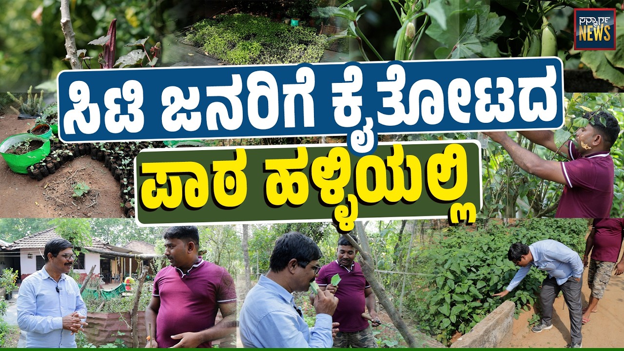 ಸಣ್ಣ ಜಾಗದಲ್ಲೂ ದೊಡ್ಡ ತೋಟದ ಜಾದೂ ತೋರಿಸಿದ್ದಾರೆ ಶಿವಪ್ರಸಾದ್ ಬಾಳೆಬೆಟ್ಟು | HomeGardenMagic | SANMARGA NEWS