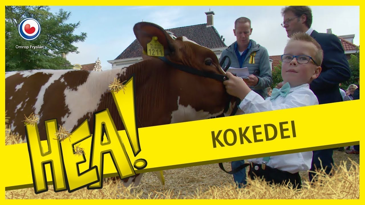 HEA! De beauty's van Kokedei in Workum