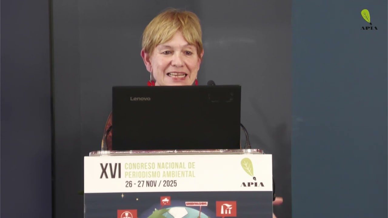 Conclusiones