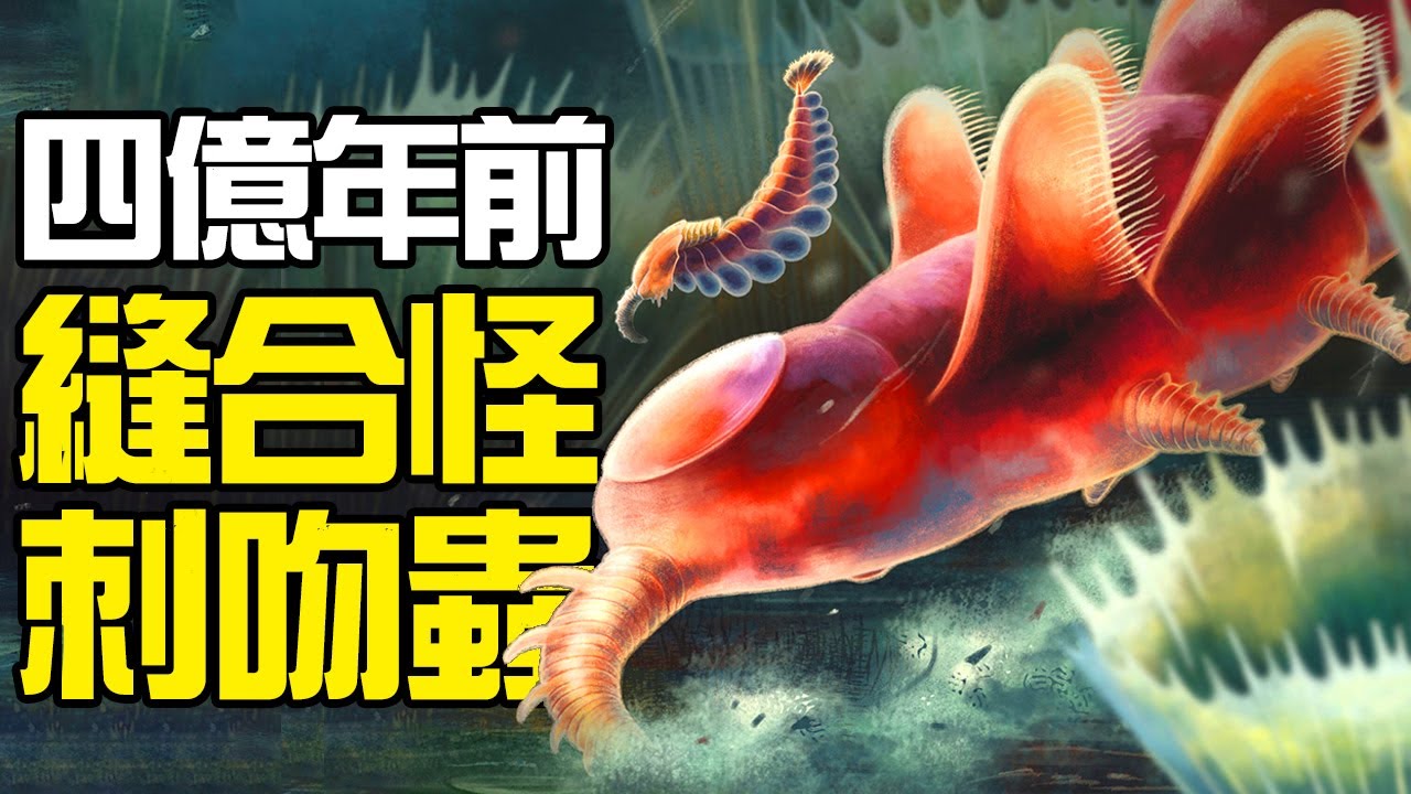 新發現的4億年前的刺吻蟲是個縫合怪？澳大利亞發現的巨大海蝎長達1米！名叫拜登的十條腿章魚有什麼特別的？盤點2022年8大神奇古生物的新發現丨動物之最