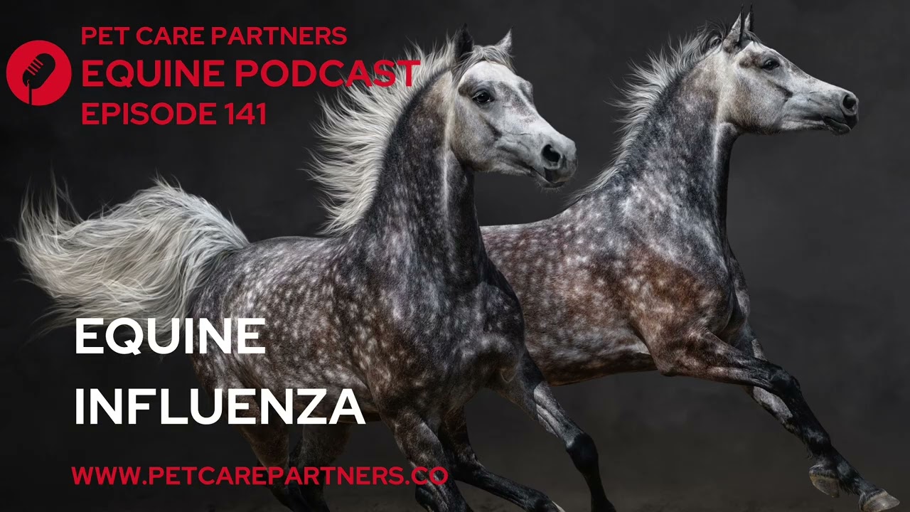 EP. 141: Equine Influenza in Horses | Causes, Symptoms & Prevention | Pet Care Partners