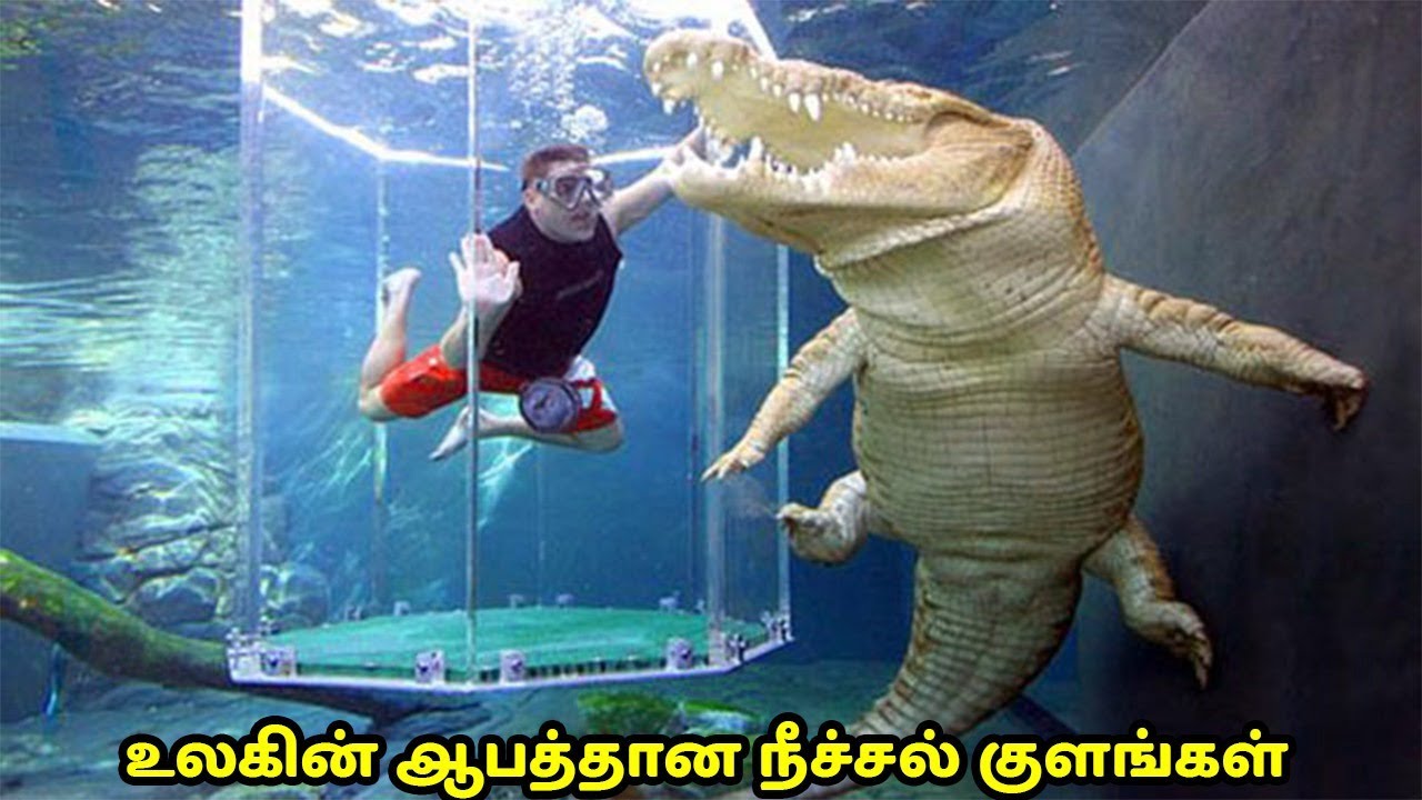 ஆபத்தான நீச்சல் குளங்கள் | Dangerous Swimming Pools in the World Tamil | Vinotha Unmaigal