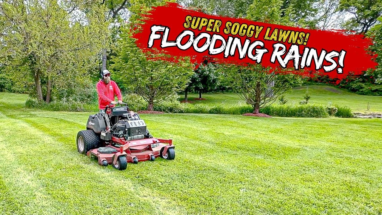 Soggy Lawns & Spring Chaos: Can We Finish Before the Weekend?