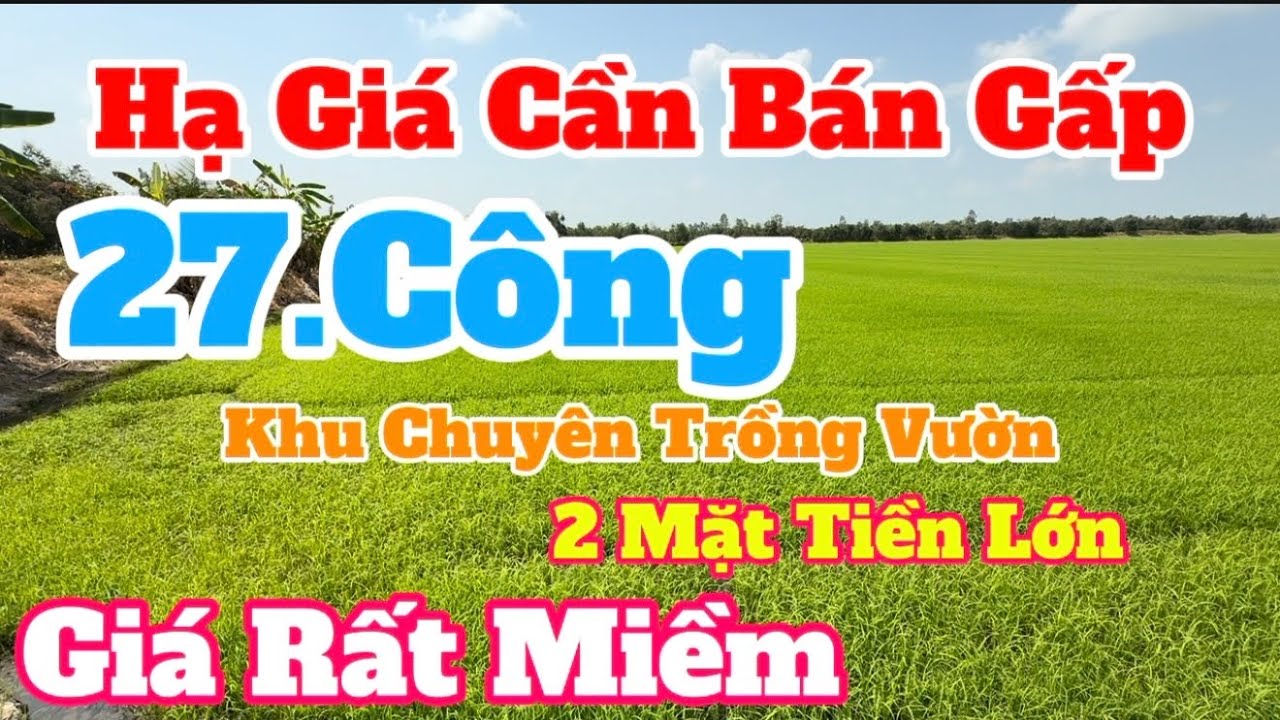 (Số 888) Rất Miềm Và Đẹp👉Siêu Mặt Tiền 27.000mv / Bán Gấp/ Vị Trí Khu Chuyên Trồng Vườn Sầu Riêng