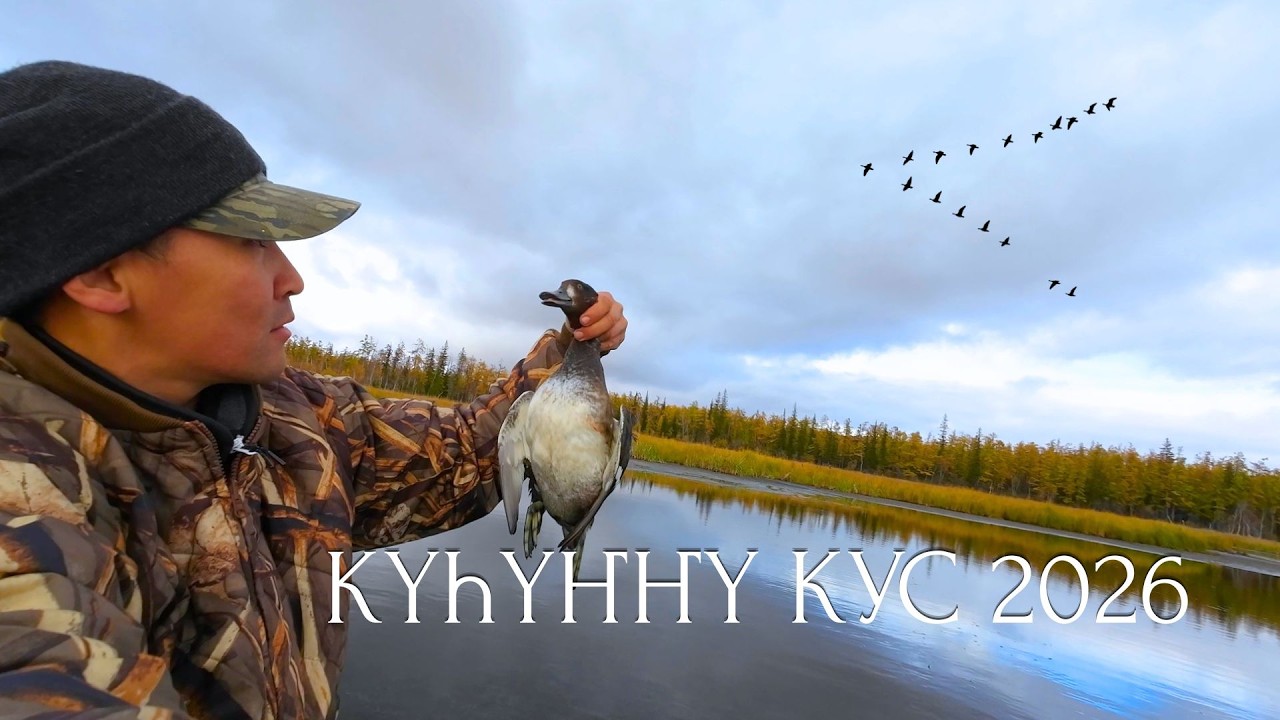 Күһүҥҥү кус 2026. Таппытым диэн сэрэйбитим ээ!