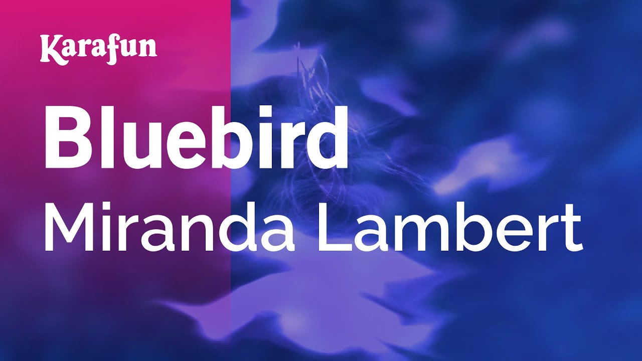 Bluebird - Miranda Lambert | Karaoke Version | KaraFun