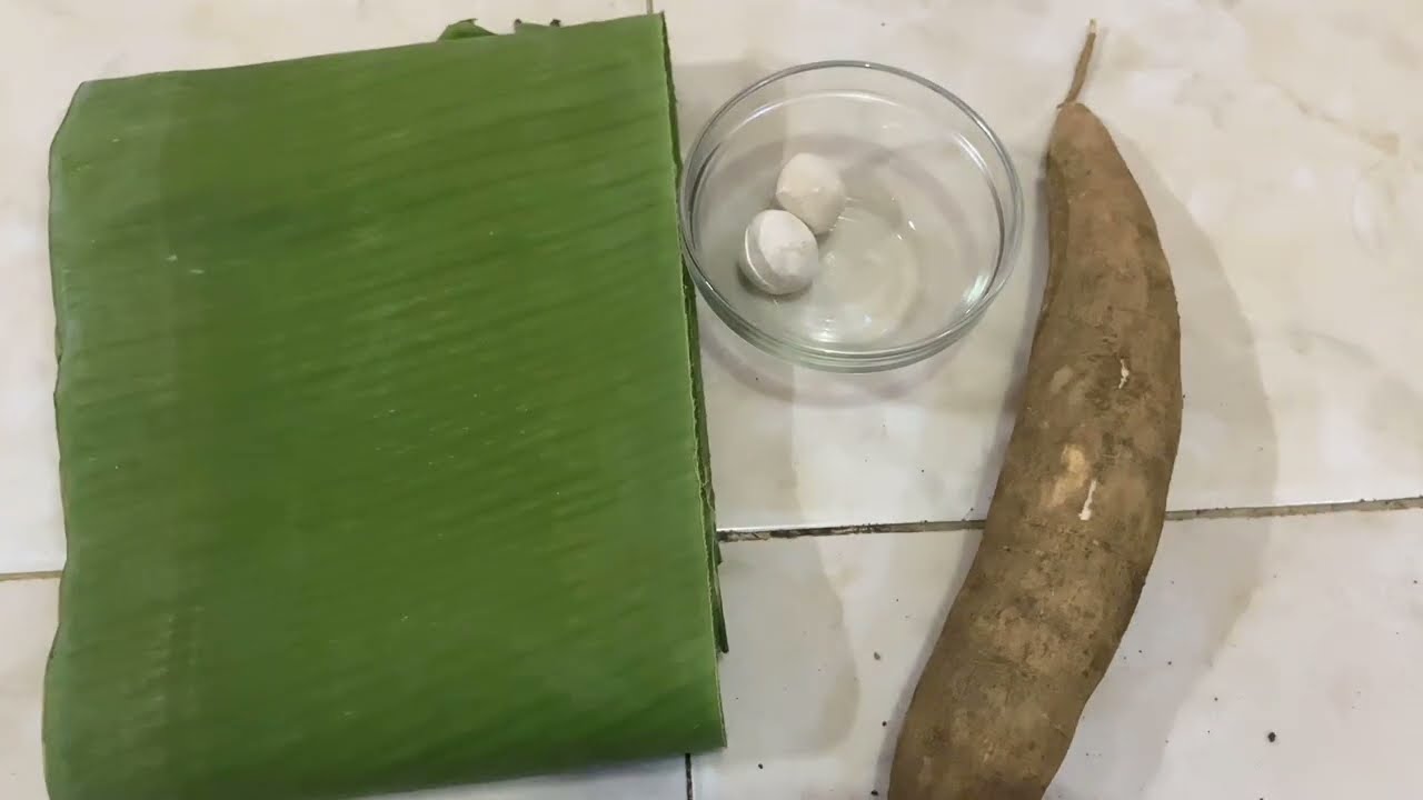 VIDEO PRAKTIK FERMENTASI (Biologi)