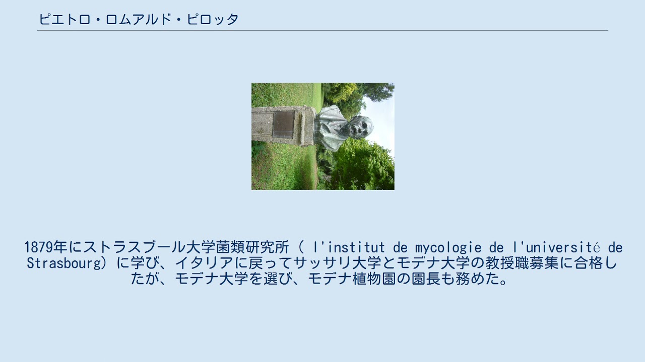 ピエトロ・ロムアルド・ピロッタ