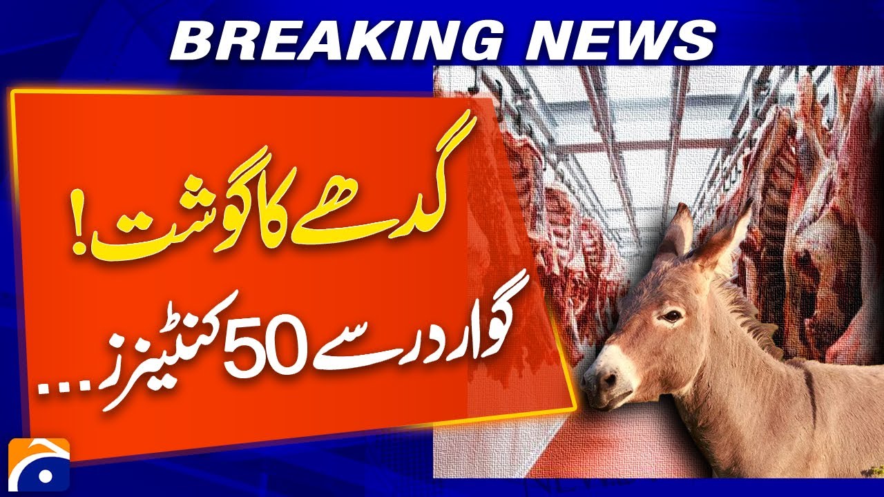 50 Containers of Donkey Meat to Be Exported from Gwadar Monthly | Chinese Company