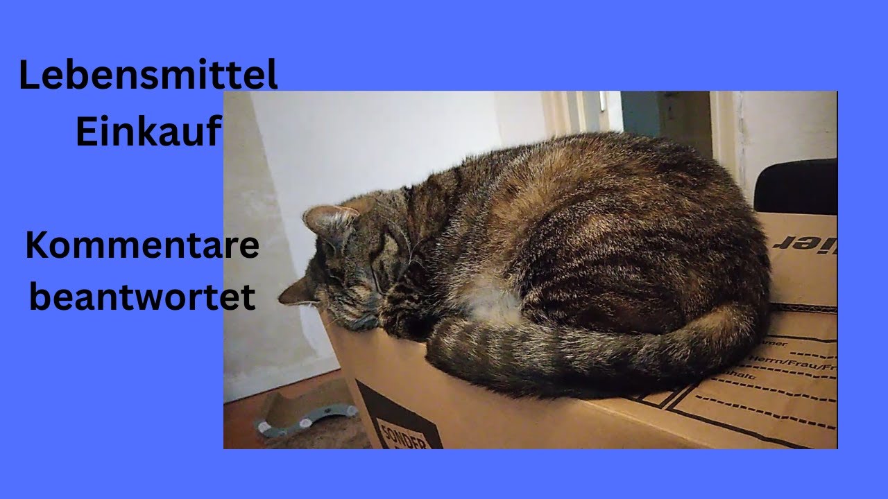 Lebensmittel Einkauf & bisschen Quatschen.