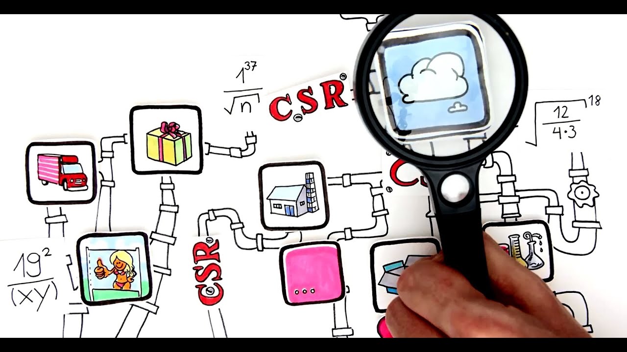 Corporate Social Responsibility (CSR): Praktische Perspektiven von Thomas Beschorner