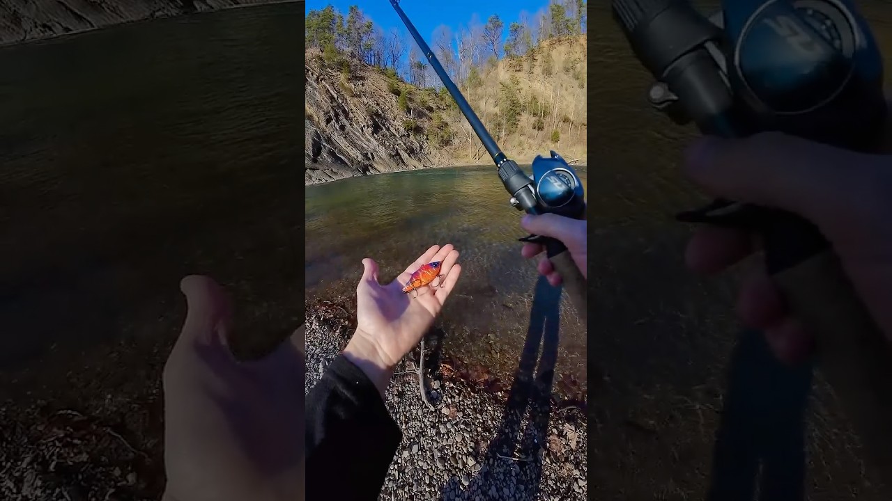 Rattle traps = Bass being caught. #fishing #fishingtips #rattletrap #shimanoslx