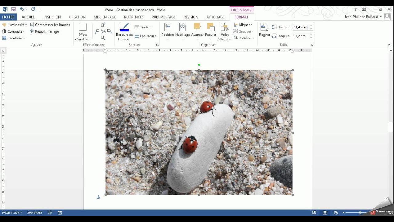 Gestion des images dans Word