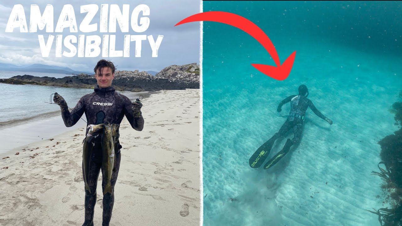 IRISH SPEARFISHING ADVENTURE Cinematic Footage, Pollock, Wrasse and more!