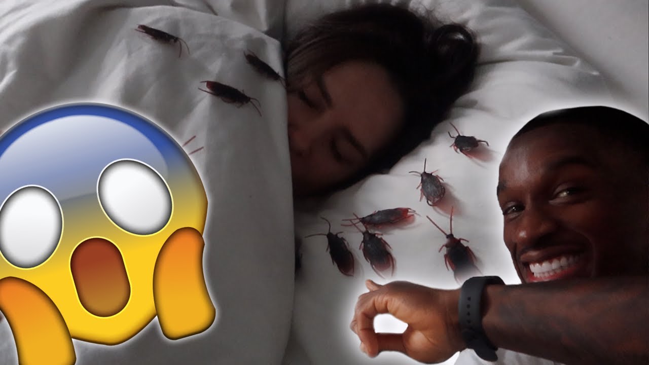 COCKROACH PRANK ON GIRLFRIEND!!!! *HILARIOUS*