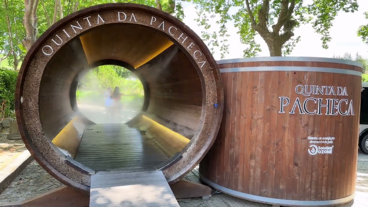 Quinta da Pacheca, Douro, Portugal. June 2023. 4K