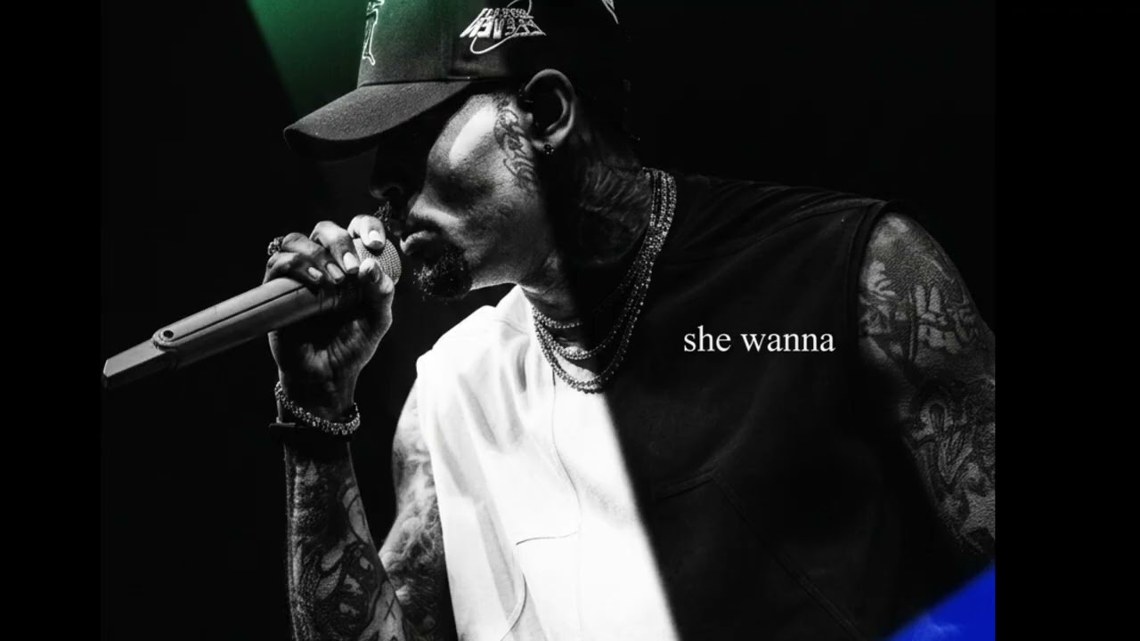 Chris Brown – She Wanna (2026)