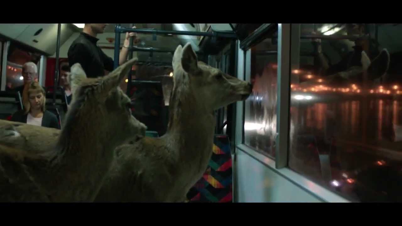 THE BEER FOR THE NOCTURNAL MIGRATION - Tooheys Extra Dry