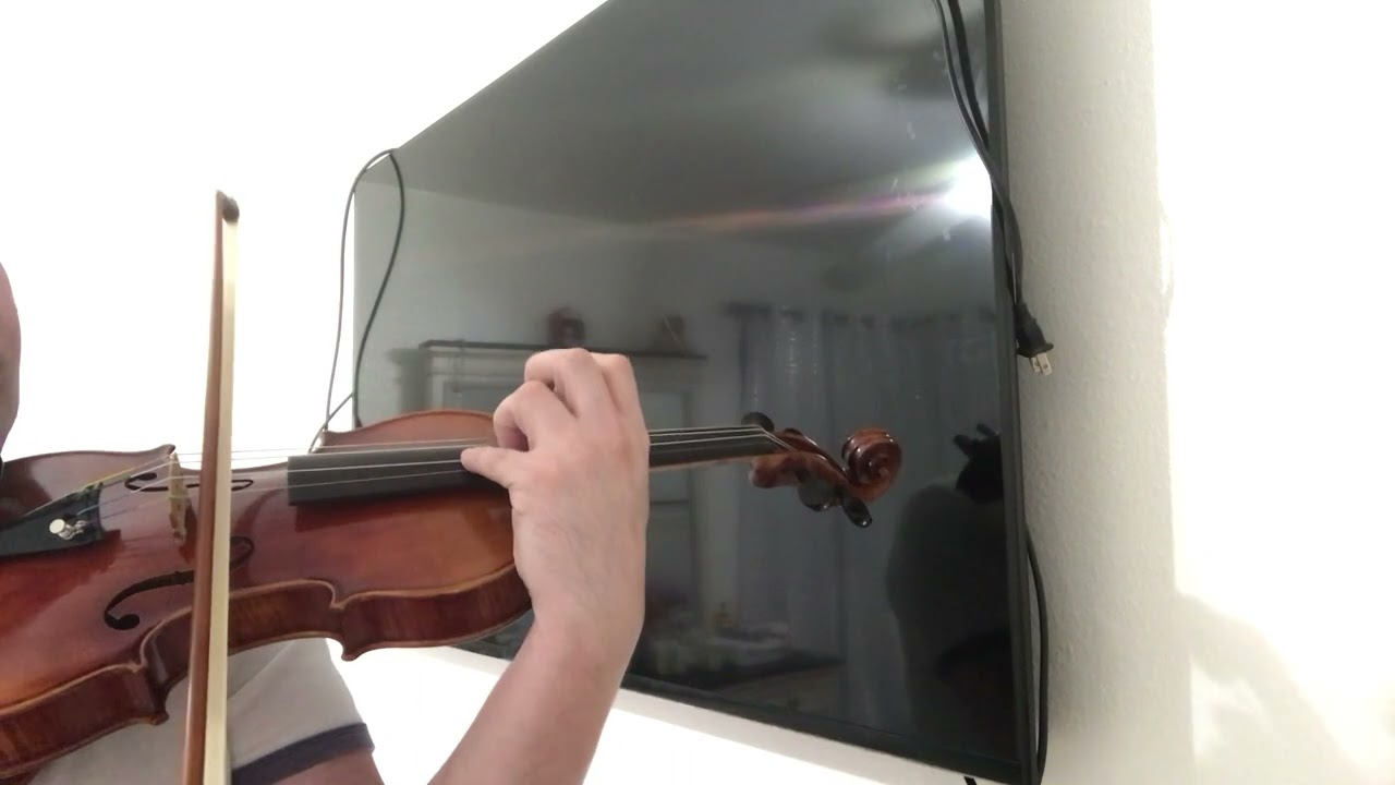 *FOR SALE* Howard Core Symphony SM10 Outfit Pernambuco bow and Jade Rosin with Case