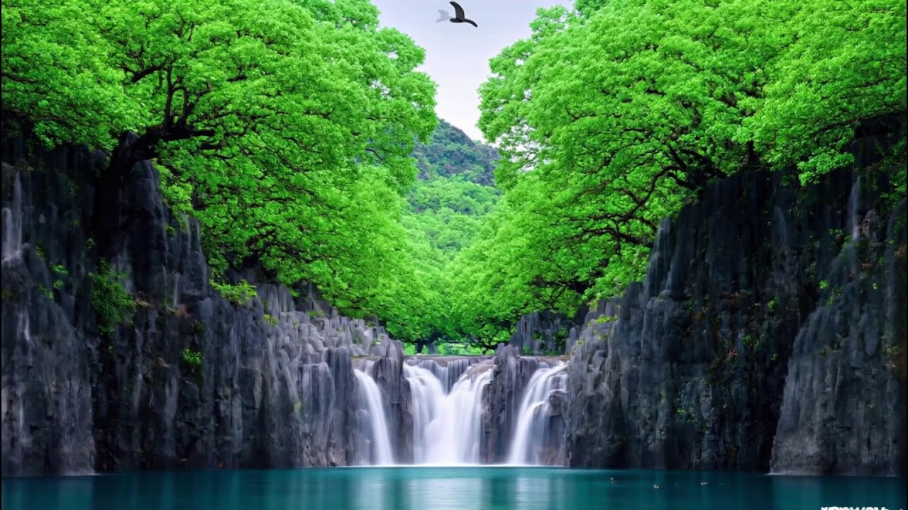 Gentle Piano Music & Water Sounds | Calm Your Mind and Meditate 🌹 Relaxing,soft Calm 1