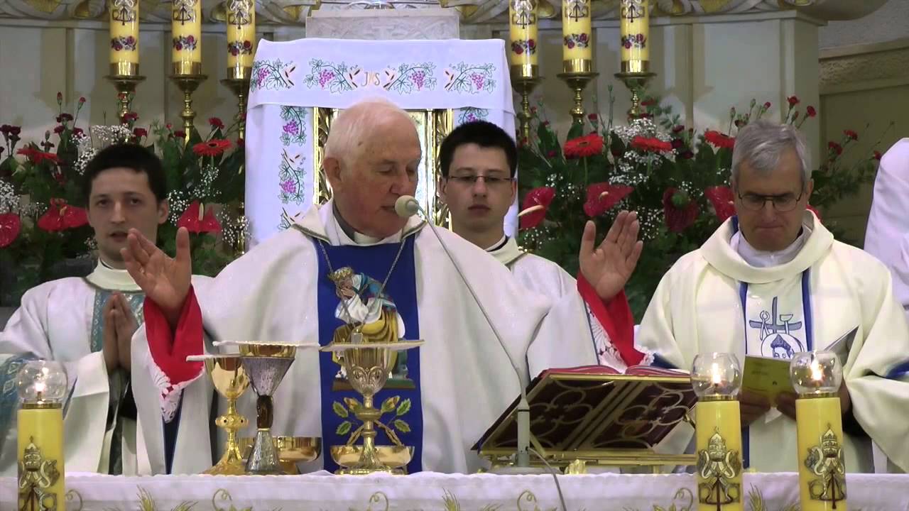 Święcenia misjonarzy saletynów - Dębowiec, 18 maja 2013