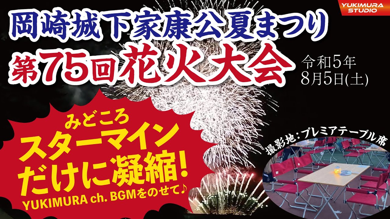 【スターマイン特集】岡崎城下家康公夏まつり第75回花火大会
