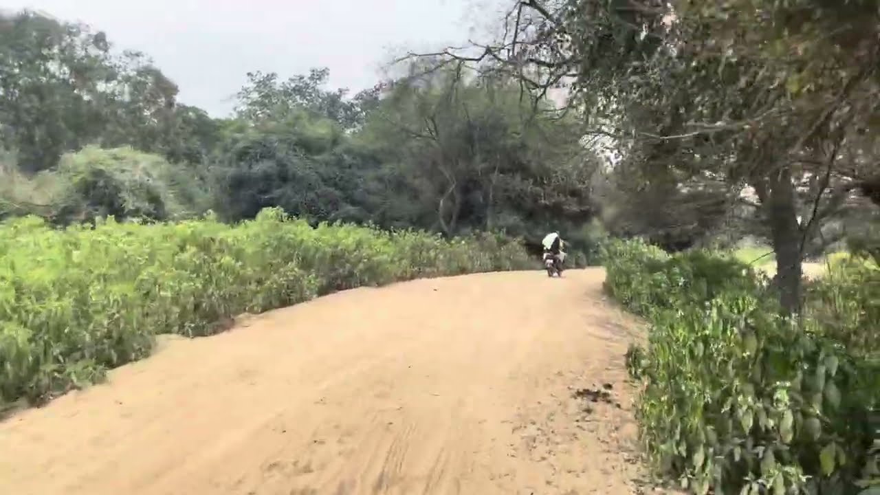 श्री विहारवन के अद्भुत छटा के दर्शन गौं चारण भुमि टटिया स्थान 