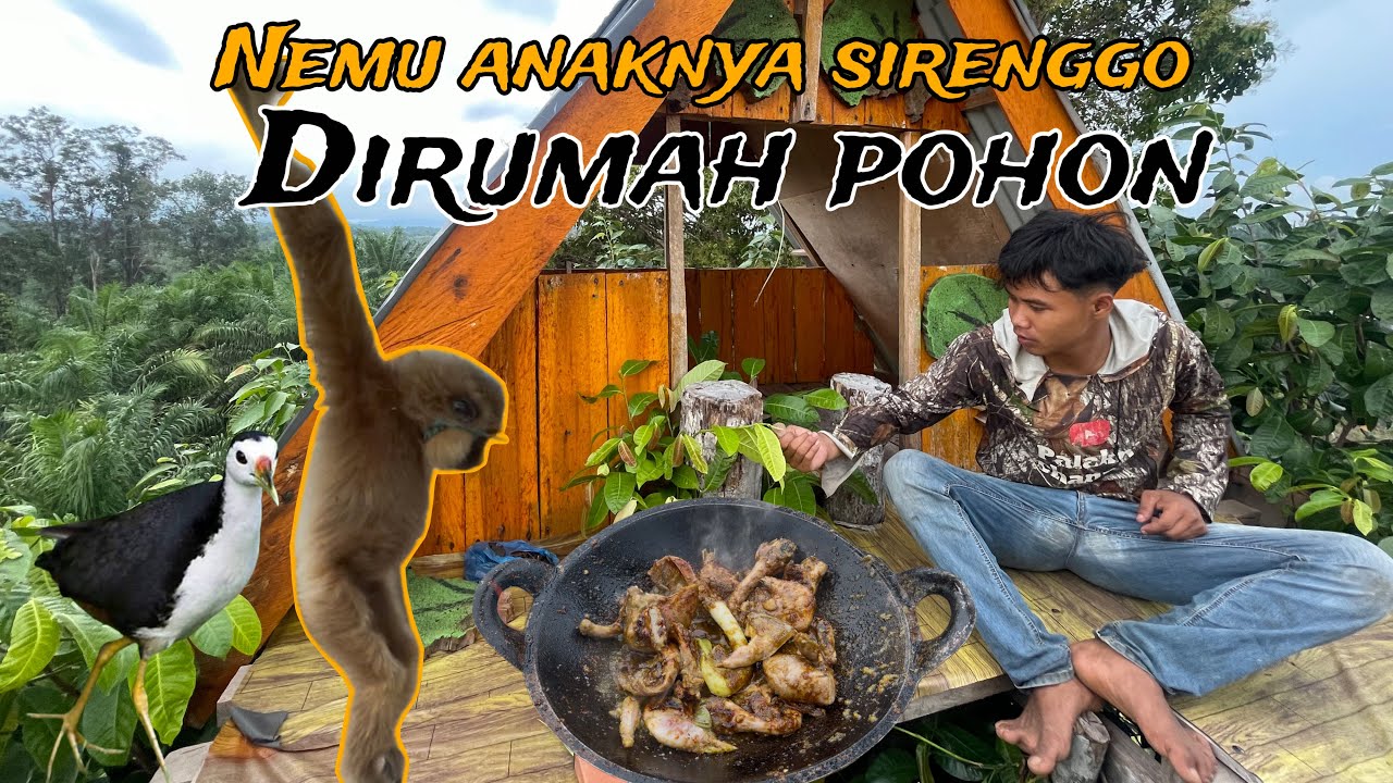 Masak buruan di rumah pohon|| tak nyangka kami nemu anaknya si renggo