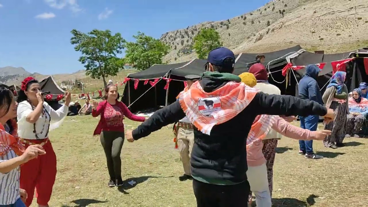 Arzu gök meşeledir engin dağlar. anamas çayır yaylasında
