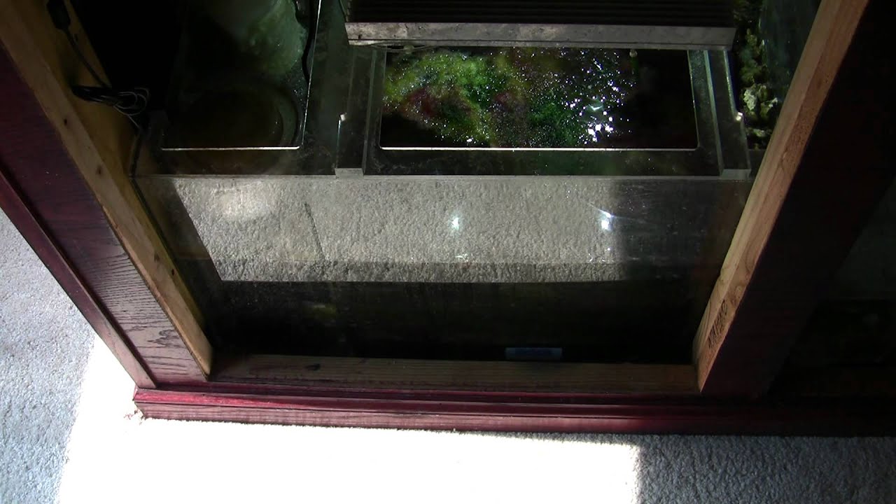 Ecosystem Miracle Mud Replacing 50% Part 1