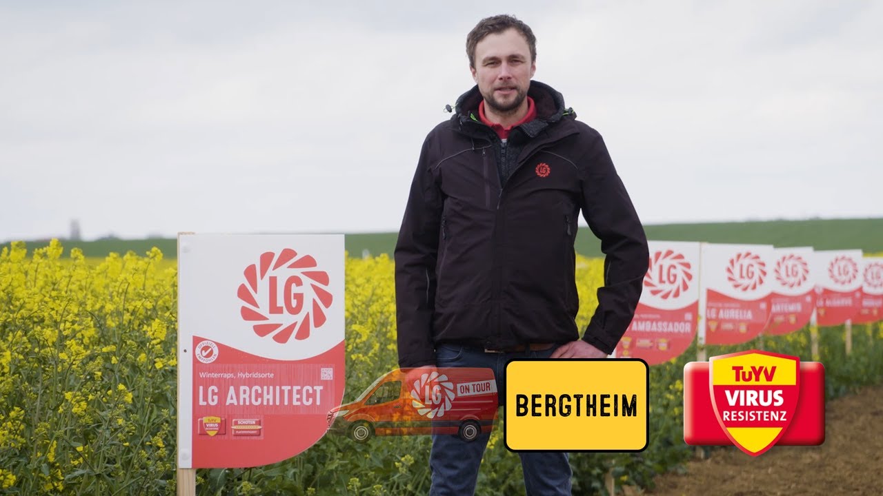 Raps LG ARCHITECT mit TuYV-Resistenz - Europas anbaustärkste Sorte Ernte 2020