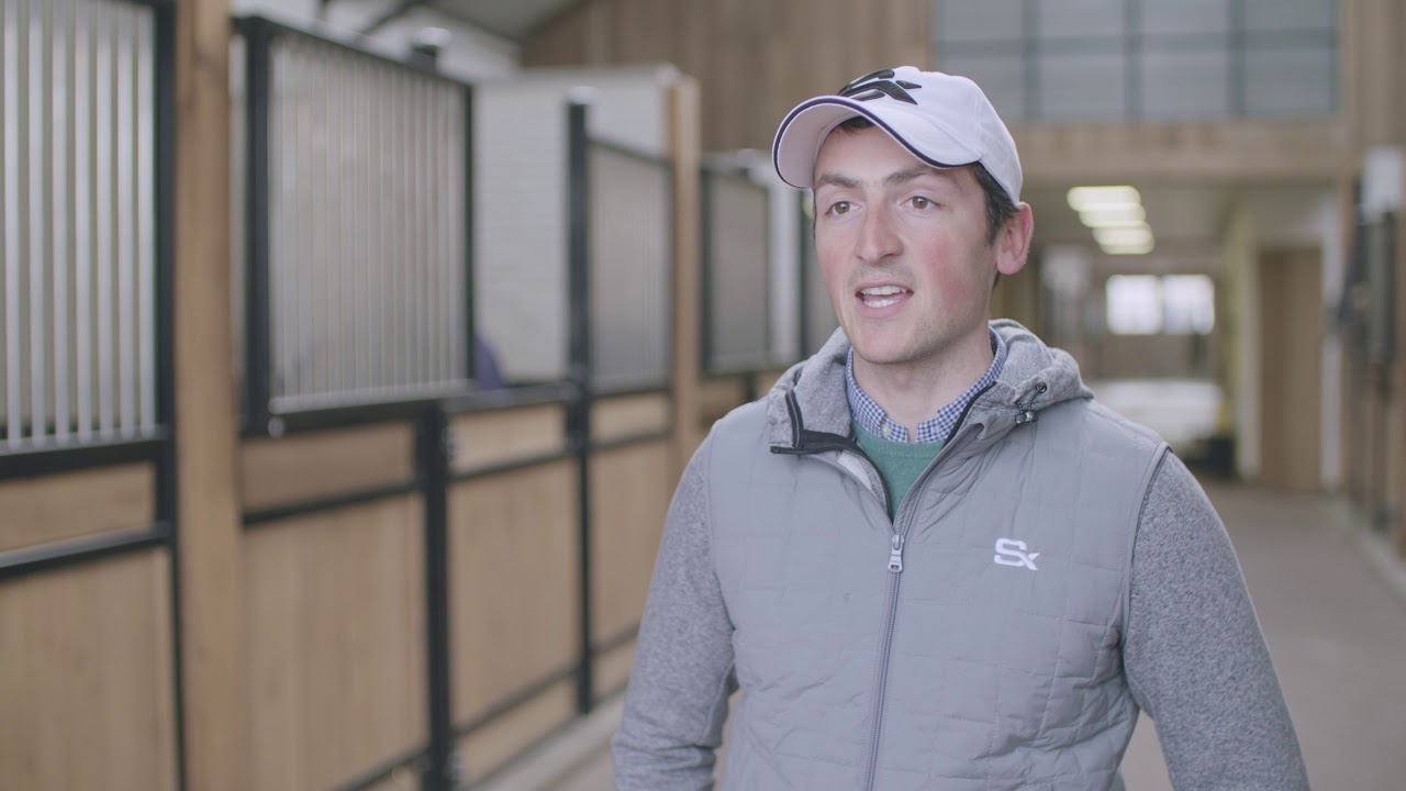 The customer story of Stephex Stables | Hippovibe