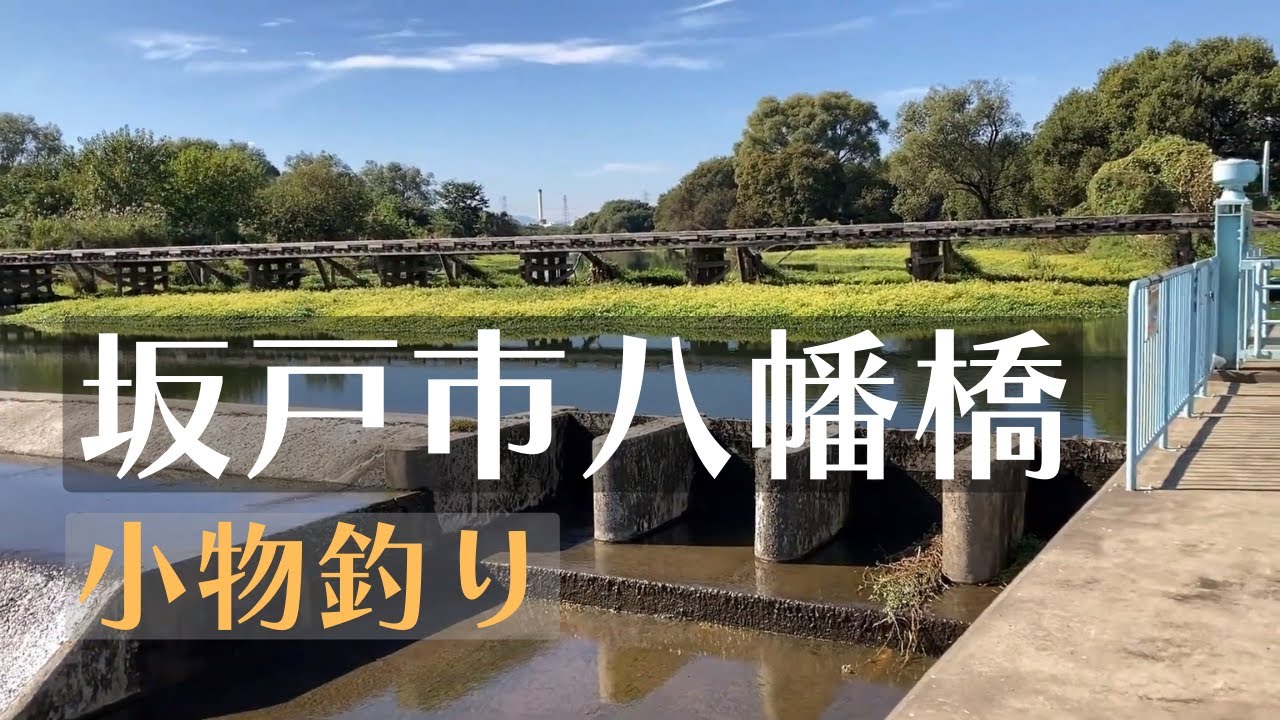 坂戸市八幡橋の脇で試し釣り