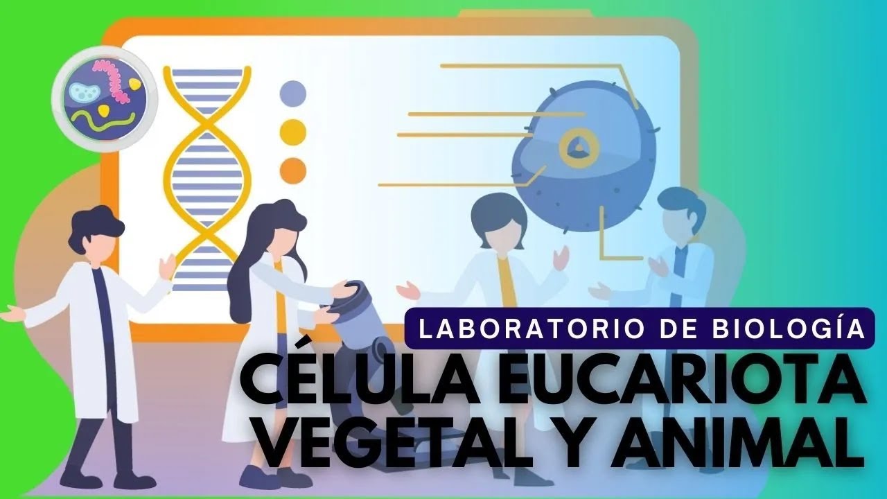 Laboratorio de Biología: Células animales y vegetales