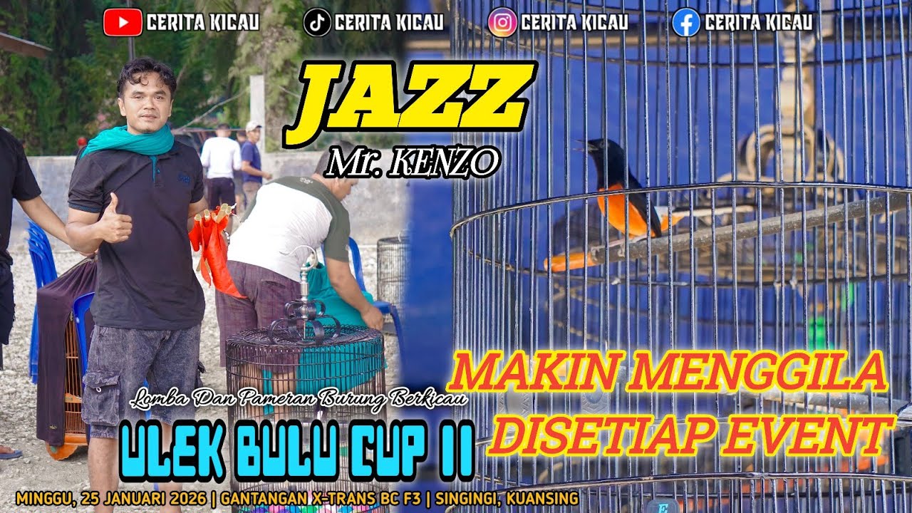 MURAI BATU JAZZ MAKIN MENGGILA DISETIAP EVENT❗️FINISH 2, 4, & 1❗️ULEK BULU CUP II 